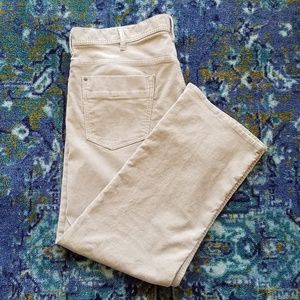 Calvin Klein Corduroy Pants